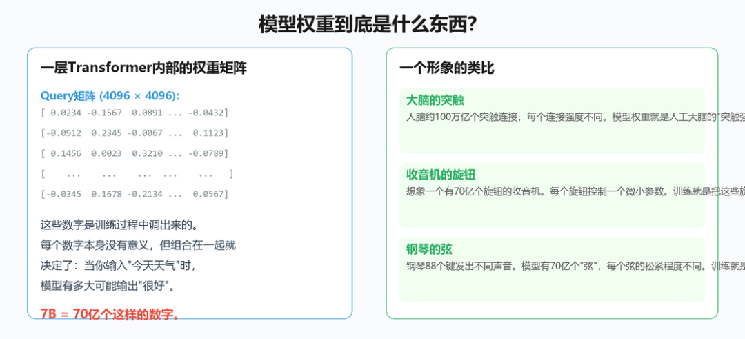 权重矩阵内部:每个数本身没有意义,组合起来决定模型行为