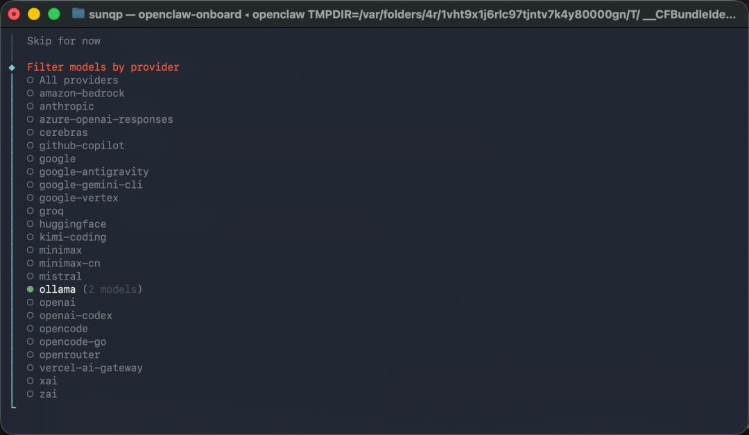 OpenClaw 配置界面
